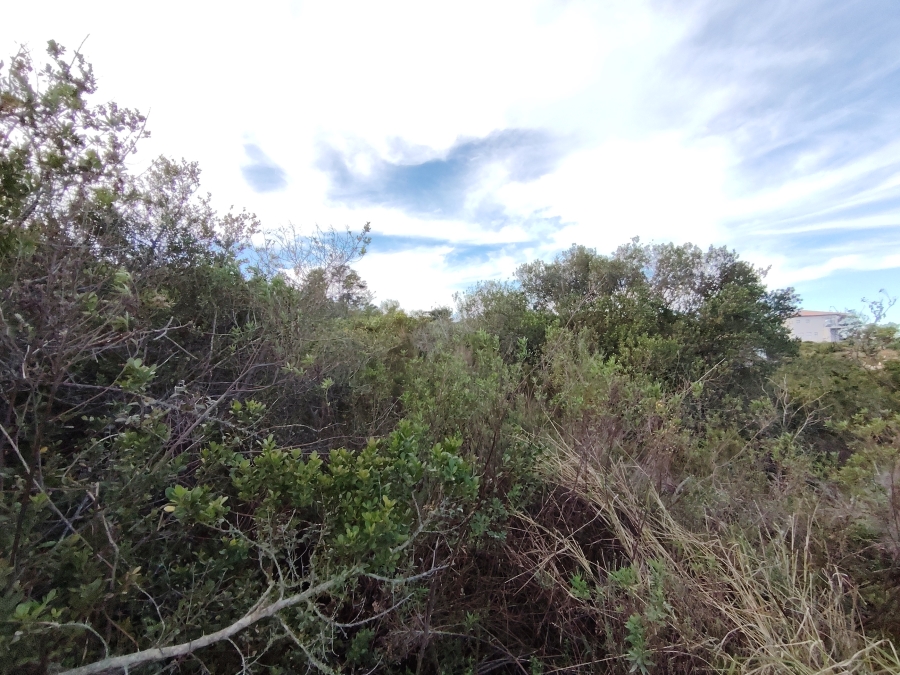 0 Bedroom Property for Sale in Schoongezicht Western Cape